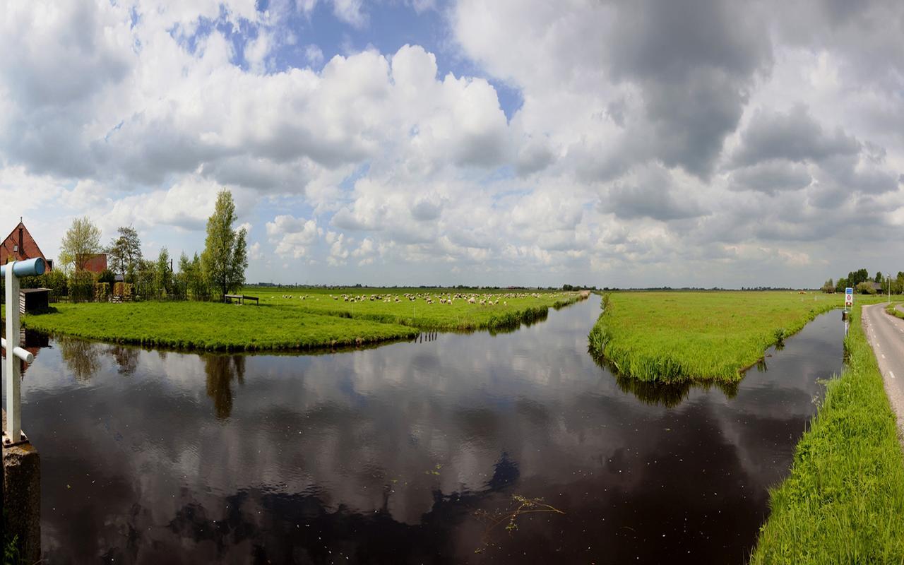 Bed and Breakfast Amsterdam Farmland Exterior foto
